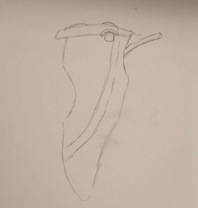 put a description here or you will lose grades