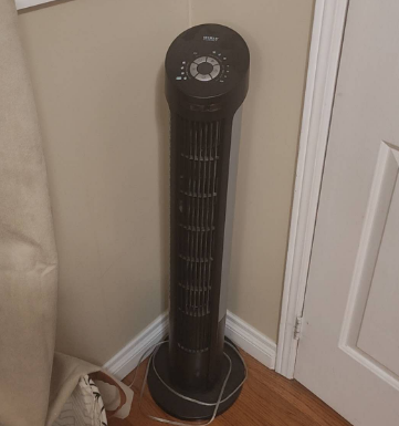 description<br><audio controls src='audio/5.m4a'></audio>