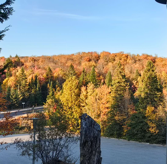 This is the picture I chose about the scenery of Canada. I selected the pictures corresponding to the regions I chose and put them into the cartogram Mapbox later.