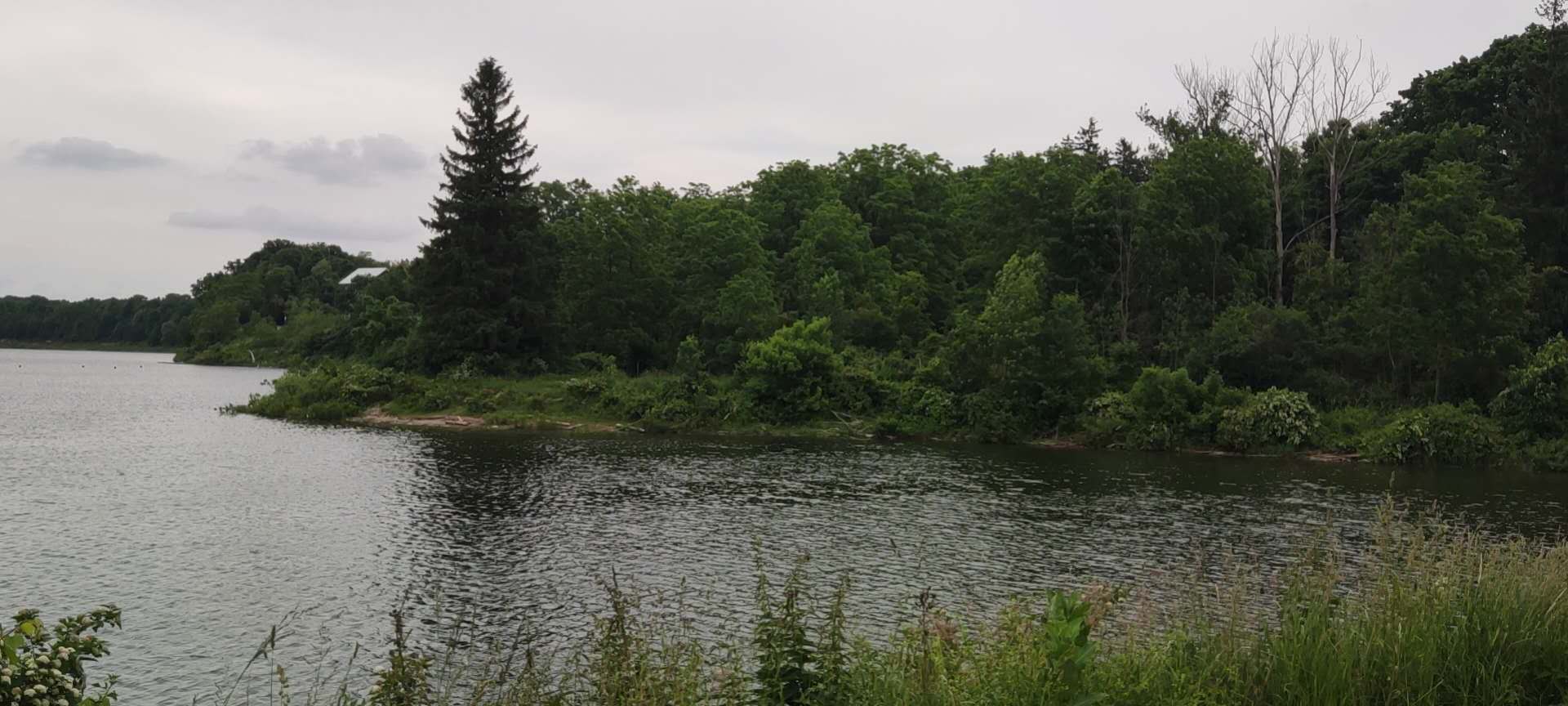 This is the picture I chose about the scenery of Canada. I selected the pictures corresponding to the regions I chose and put them into the cartogram Mapbox later.